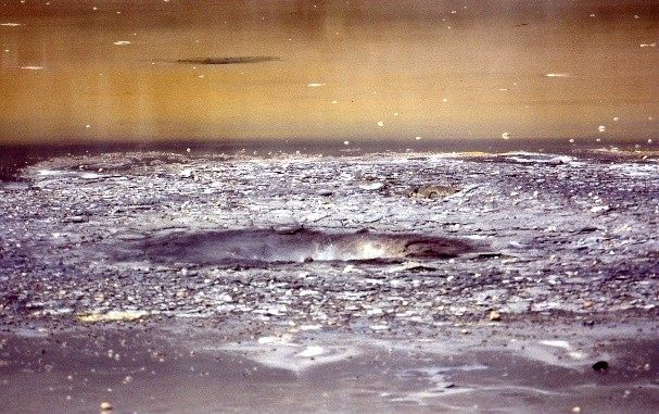 Modified Alliance-Focused Training Beitragsbild